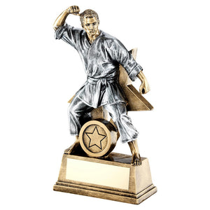BRZ/GOLD/PEW MALE MARTIAL ARTS FIGURE WITH STAR BACKING TROPHY (1in CENTRE)