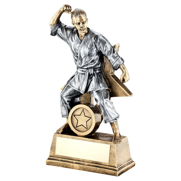 BRZ/GOLD/PEW FEMALE MARTIAL ARTS FIGURE WITH STAR BACKING TROPHY (1in CEN)