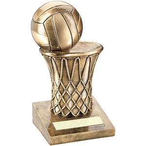 BRZ/GOLD NETBALL AND NET TROPHY