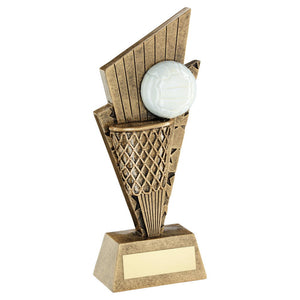 BRZ/GOLD/WHITE NETBALL AND NET ON POINTED BACKDROP TROPHY